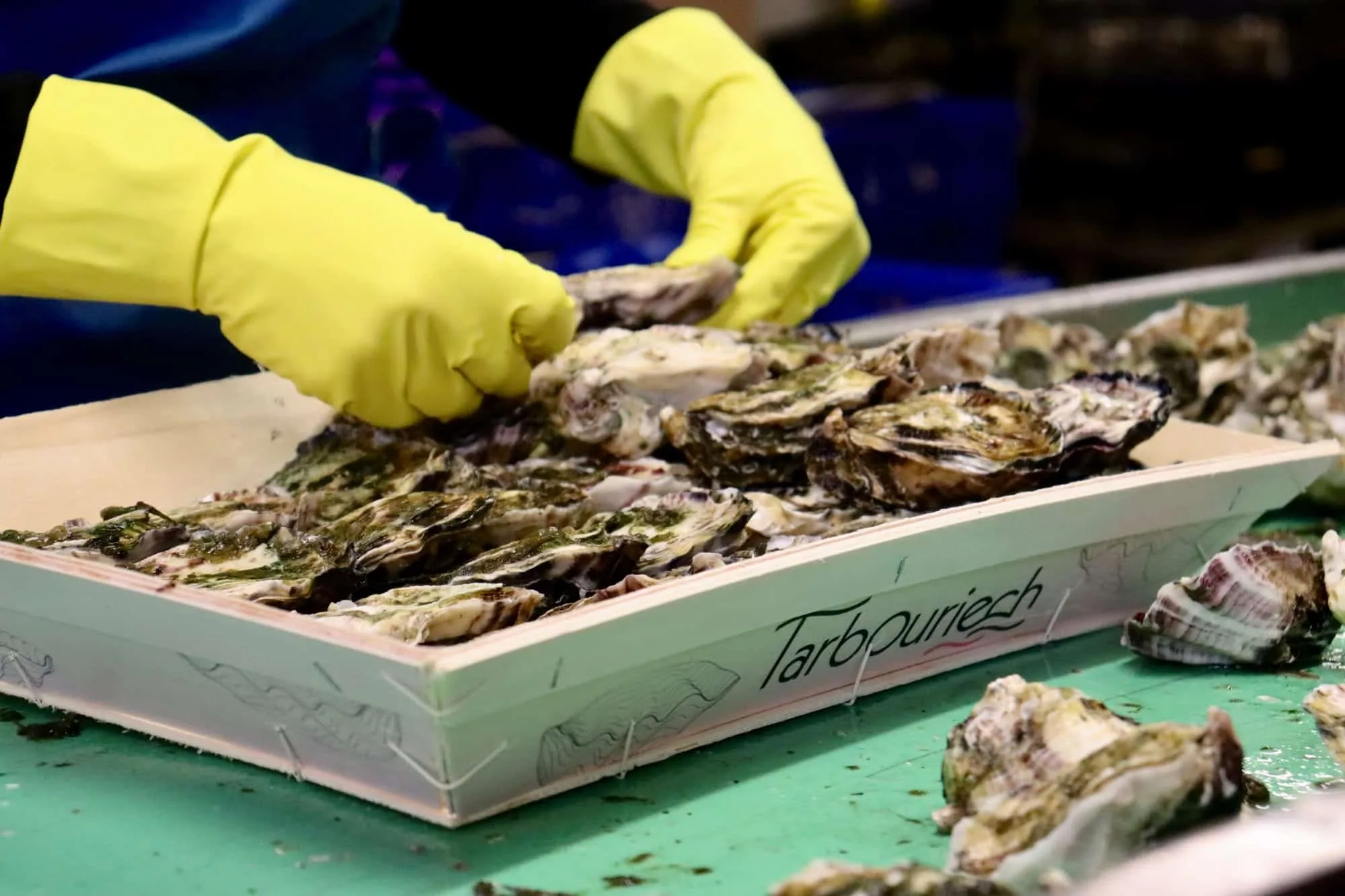 Livraison huitres haut de gamme direct producteur Maison Tarbouriech