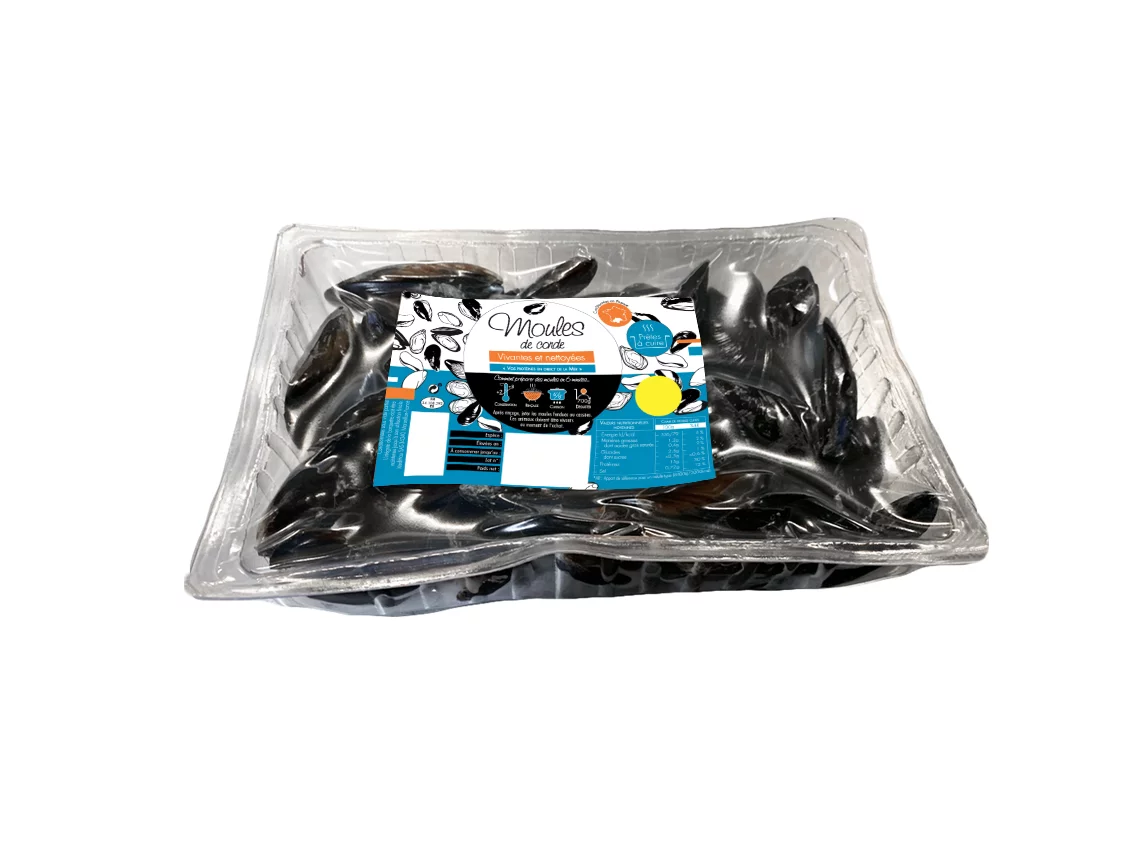 Moules d'Italie